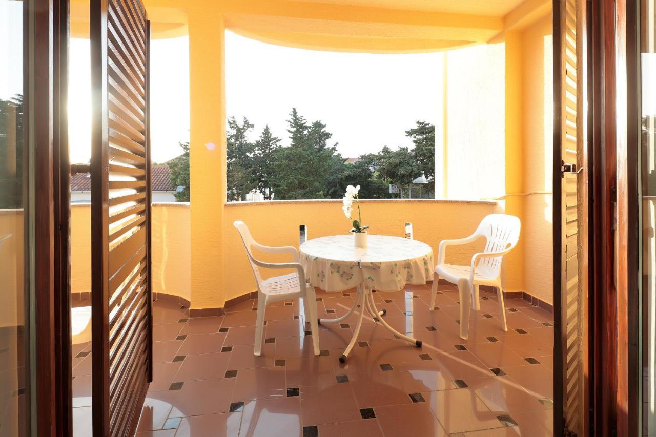 City Pool Apartments نوفاليا المظهر الخارجي الصورة